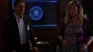 Criminal Minds: 11×22