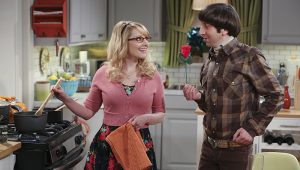 The Big Bang Theory: 9×14