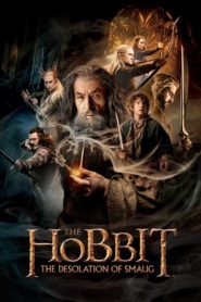 Nonton The Hobbit: The Desolation of Smaug 2013