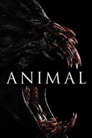 Nonton Animal 2014