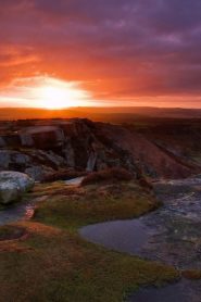 Nonton 24 Hours on Earth: Night