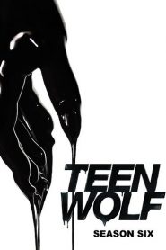 Teen Wolf: Season 6