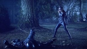 Arrow: 6×14