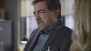 Criminal Minds: 10×8