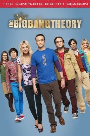 The Big Bang Theory: Season 8