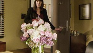 Criminal Minds: 15×8