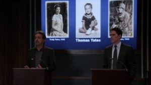 Criminal Minds: 7×22