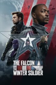 Nonton The Falcon and the Winter Soldier 2021