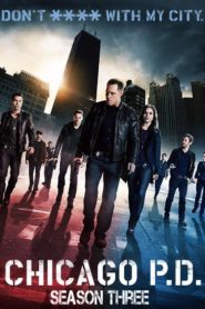 Chicago P.D.: Season 3