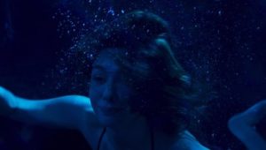 As the Crow Flies: 1×7