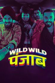 Nonton Wild Wild Punjab 2024