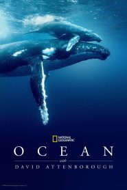 Nonton Ocean with David Attenborough 2025