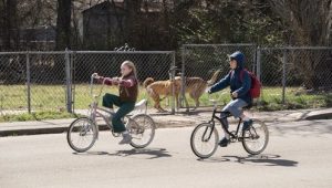 True Detective: 3×1