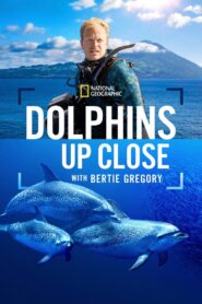 Nonton Dolphins Up Close with Bertie Gregory 2025