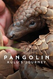 Nonton Pangolin: Kulu’s Journey 2025