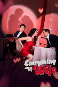Nonton Everything About My Wife 2025