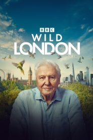 Nonton Wild London 2026