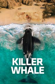 Nonton Killer Whale 2026
