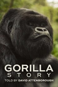 Nonton A Gorilla Story: Told by David Attenborough 2026