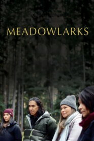 Nonton Meadowlarks 2025
